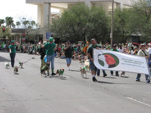 Southern Arizona Beagle Rescue