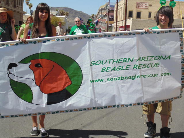 Southern Arizona Beagle rescue