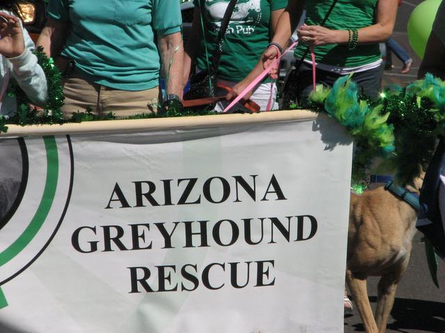 Arizona Greyhound Rescue