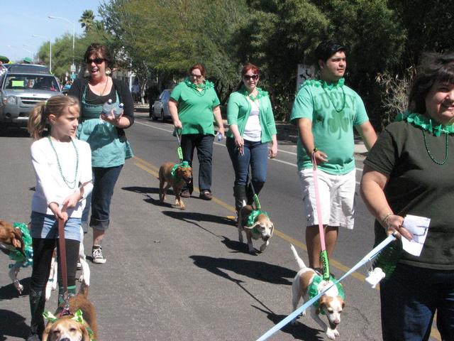 Southern Arizona Beagle Rescue