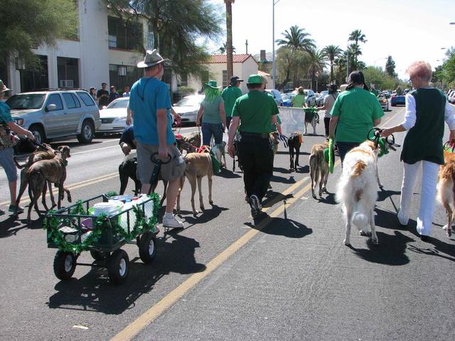 Arizona Greyhound Rescue