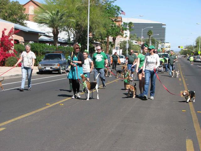 Southern Arizona Beagle Rescue