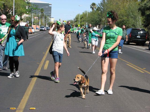 Southern Arizona Beagle Rescue